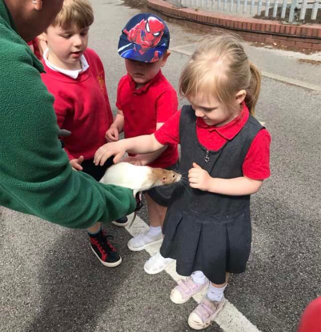 Visit from Acorn Farm